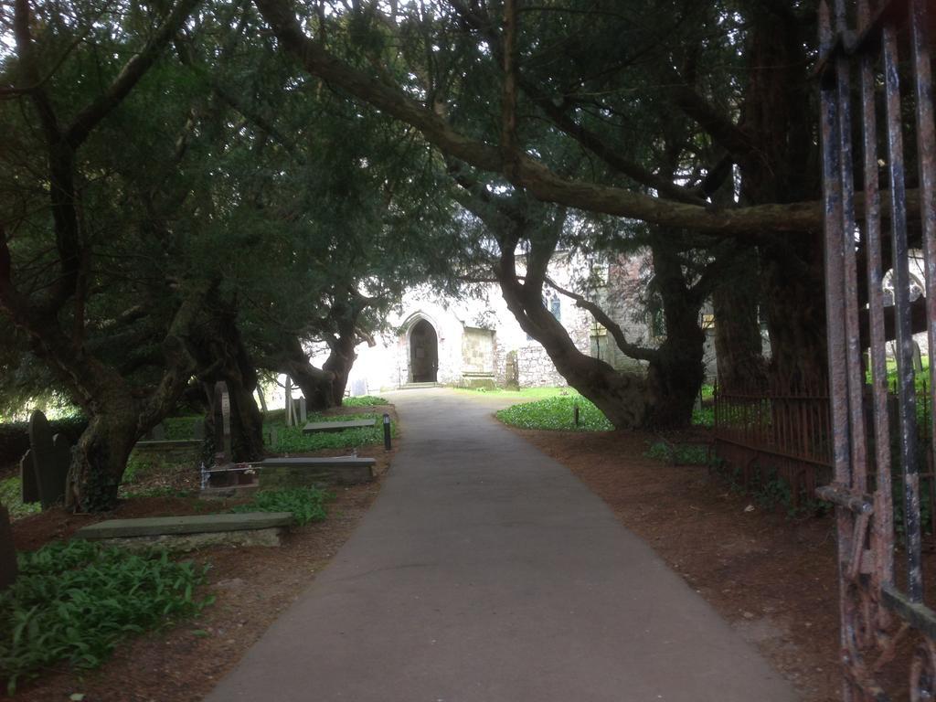 Steeple View Bed & Breakfast Newport  Bagian luar foto